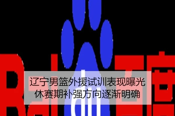 辽宁男篮外援试训表现曝光 休赛期补强方向逐渐明确
